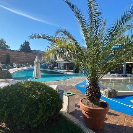 Bratanov Trakia * 써니비치